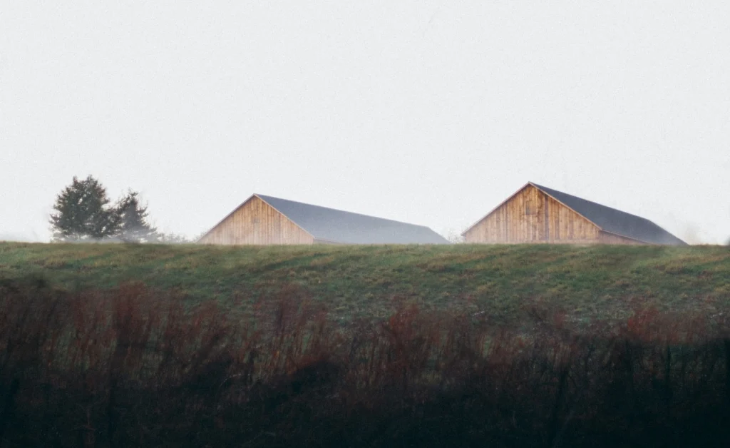 Roof Replacement: DIY or Hire a Pro?