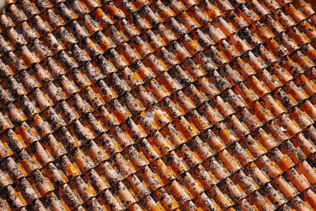 orange-and-black roof shingles